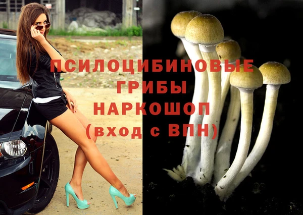 дурь Алексин
